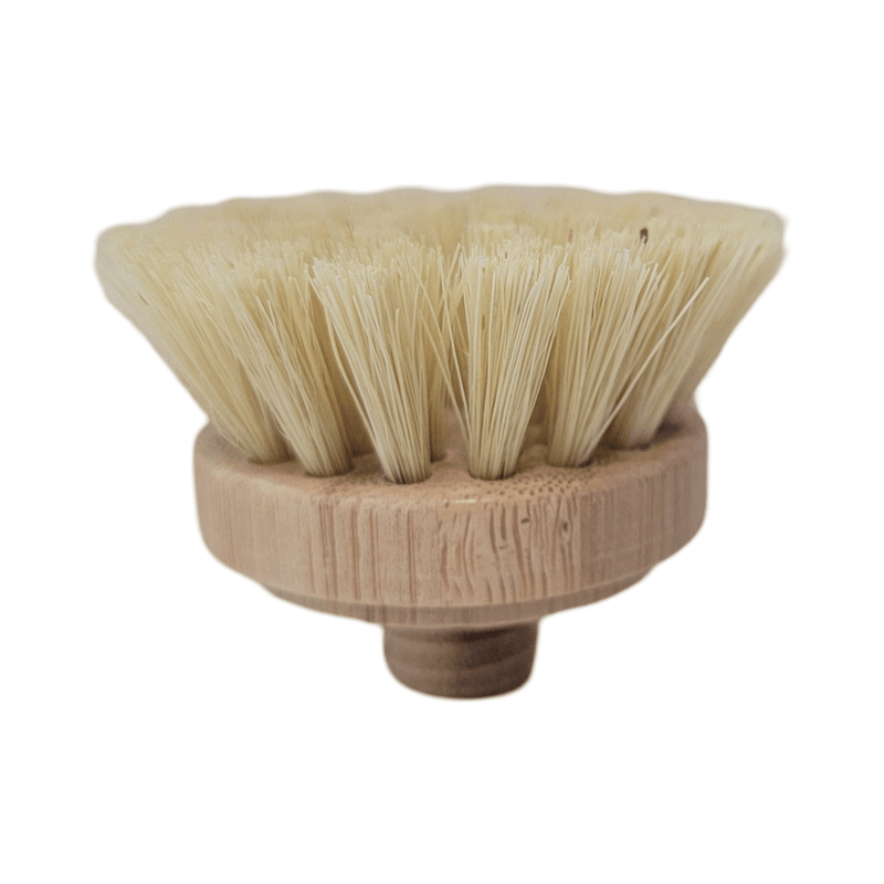 Dish Brush